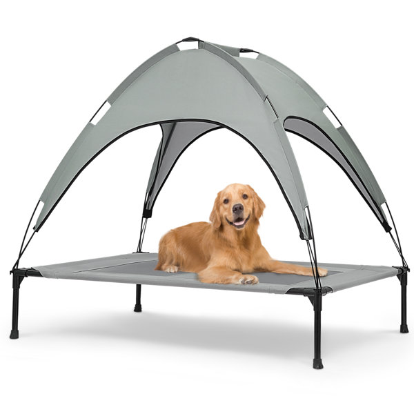 Tucker Murphy Pet™ 32" Elevated Dog Bed With Canopy, Outdoor Dog Cot